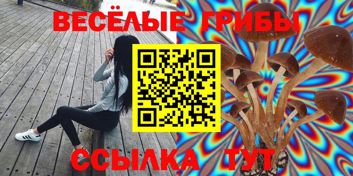Псилоцибиновые грибы Psilocybine cubensis Туапсе