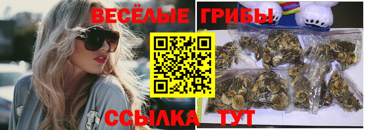 Галлюциногенные грибы Cubensis  где можно купить   Туапсе  Вход с VPN 